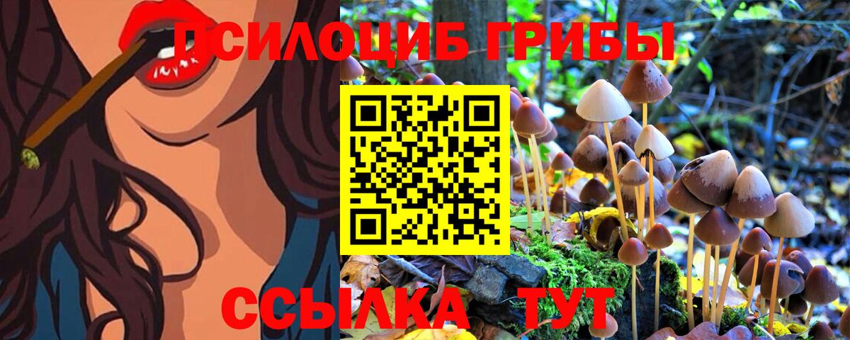 Псилоцибиновые грибы прущие грибы  Галлюциногенные грибы MAGIC MUSHROOMS  Донской  наркота  Вход с VPN 
